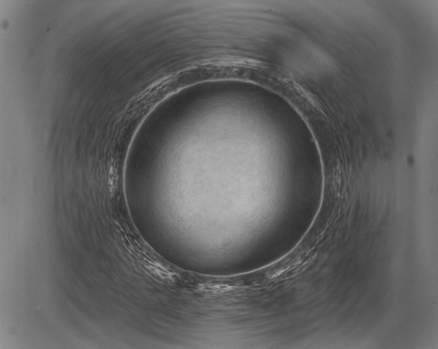 X0000083610821200702201247