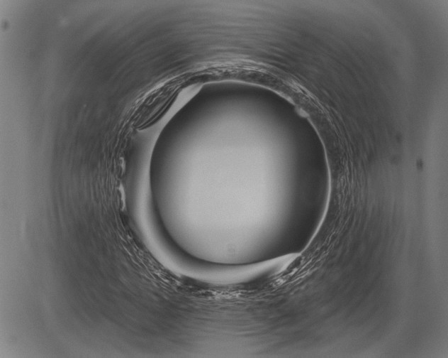 X0000083610822200702201247