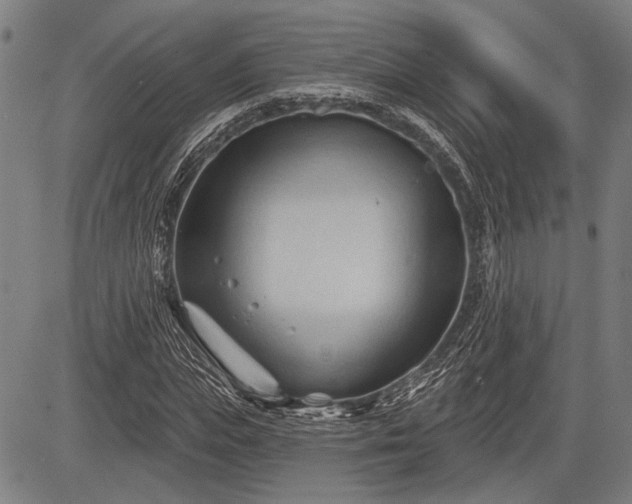 X0000083610823200702201247