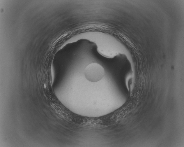 X0000083610824200702201247