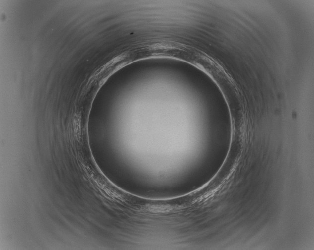 X0000083610825200702201247