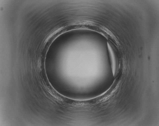 X0000083610826200702201247