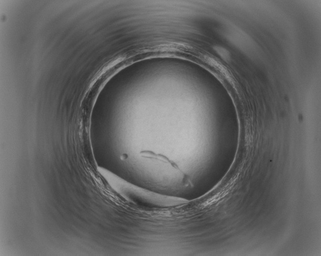 X0000083610827200702201247