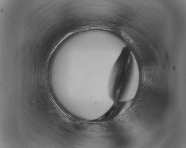 X0000083610828200702201247