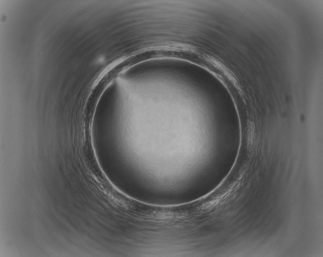 X0000083610829200702201247