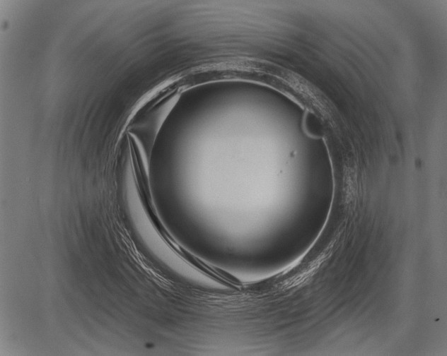 X0000083610830200702201247