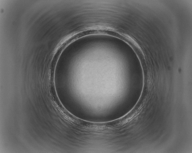 X0000083610831200702201247