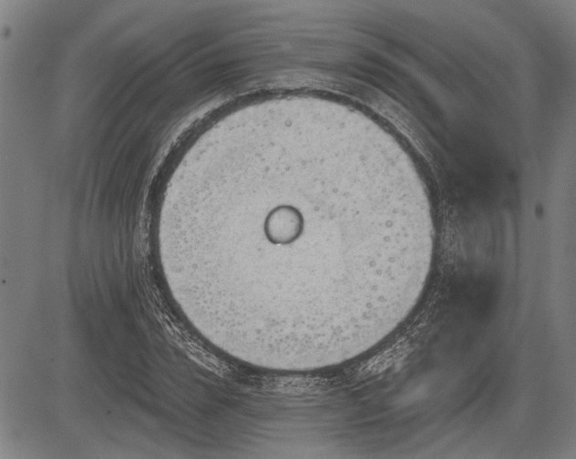 X0000083610832200702201247