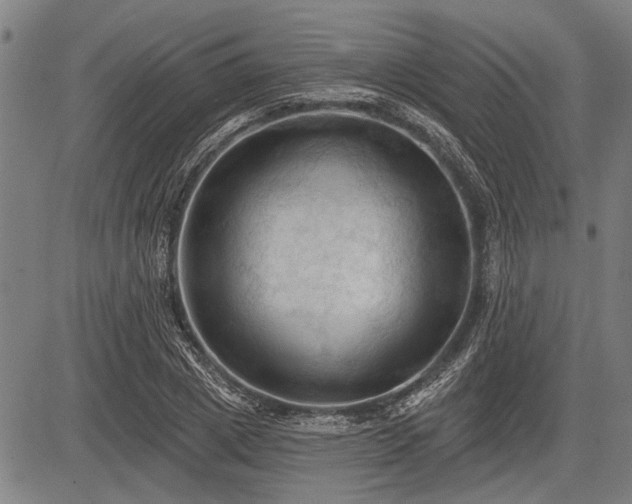 X0000083610833200702201247