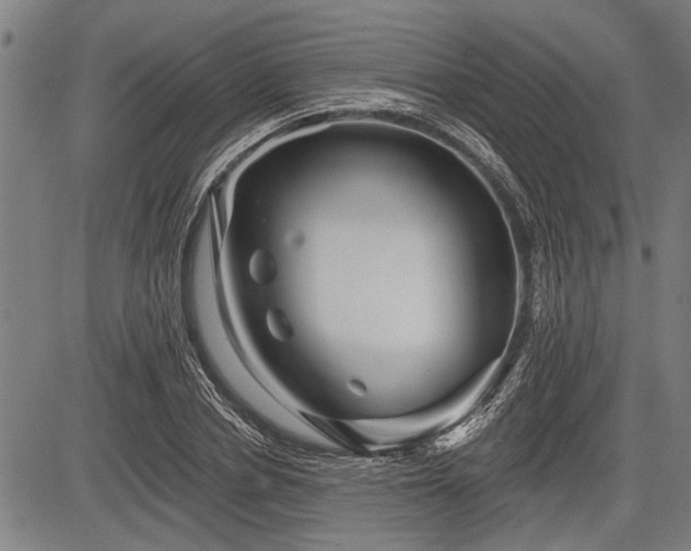 X0000083610834200702201247