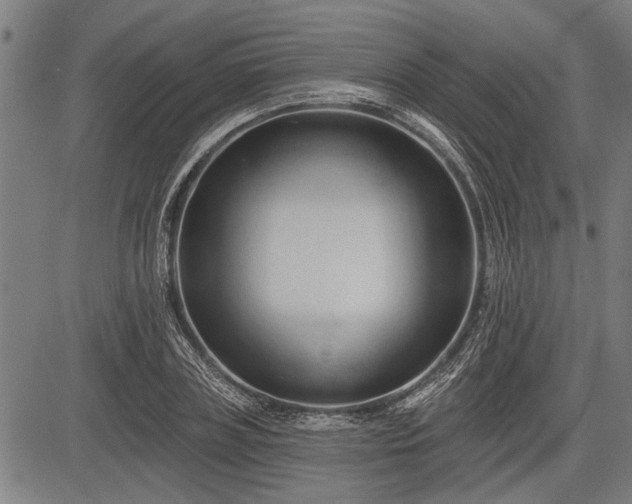 X0000083610835200702201247