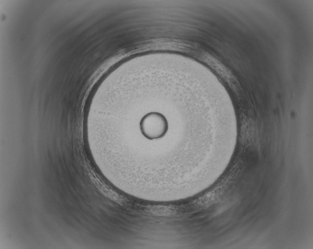 X0000083610836200702201247