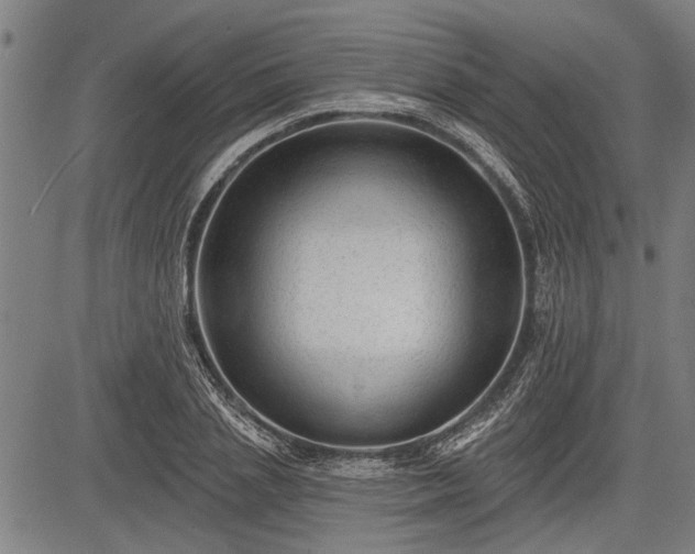 X0000083610837200702201247