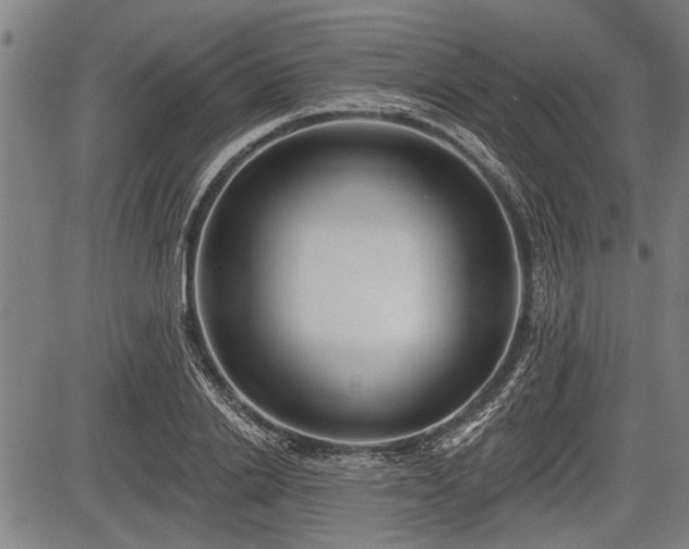 X0000083610838200702201247