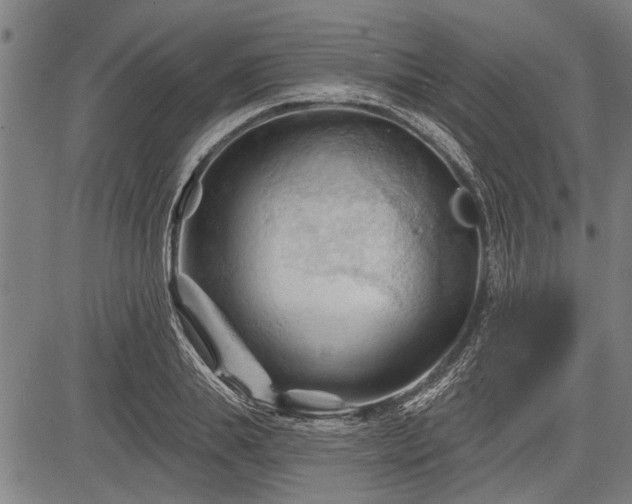 X0000083610839200702201248