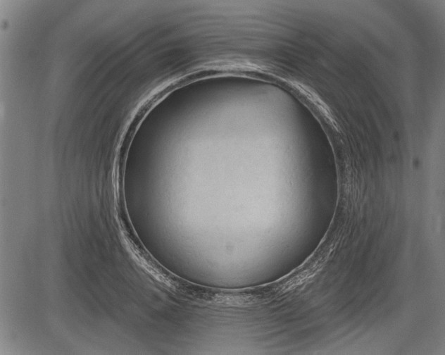 X0000083610840200702201248