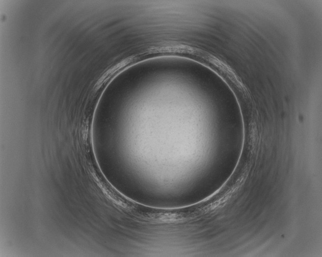 X0000083610841200702201248