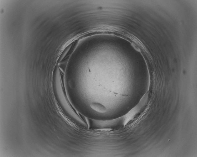 X0000083610842200702201248