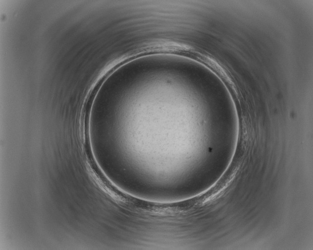 X0000083610843200702201248