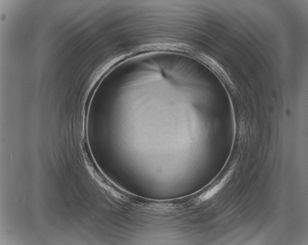 X0000083610844200702201248