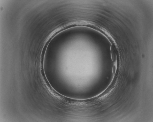 X0000083610845200702201248