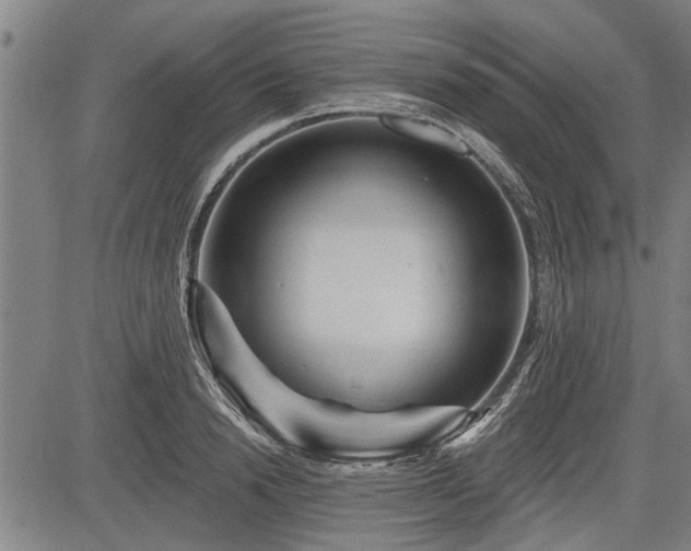 X0000083610846200702201248