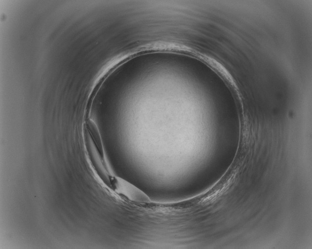 X0000083610847200702201248