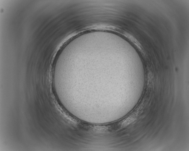 X0000083610848200702201248