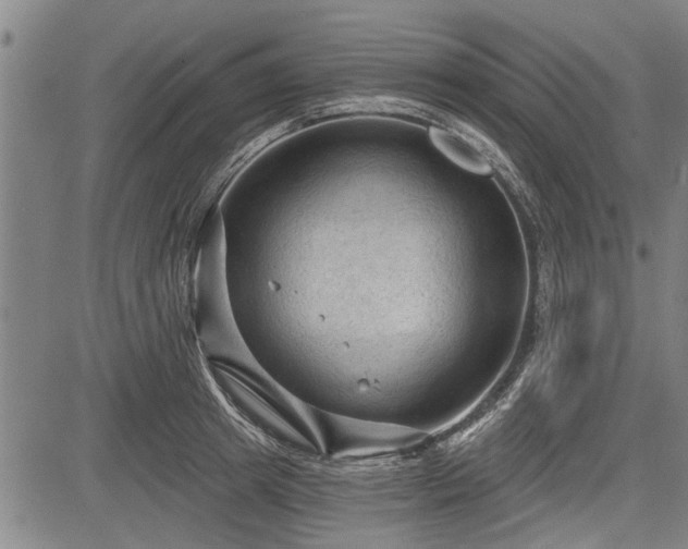 X0000083610849200702201248