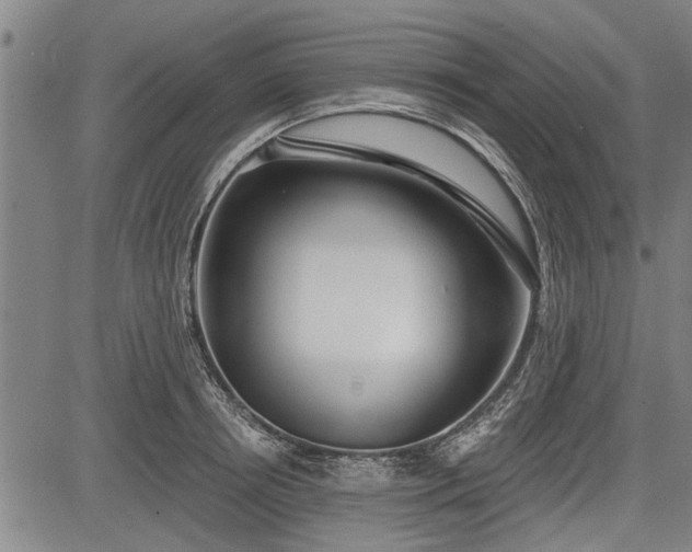 X0000083610850200702201248