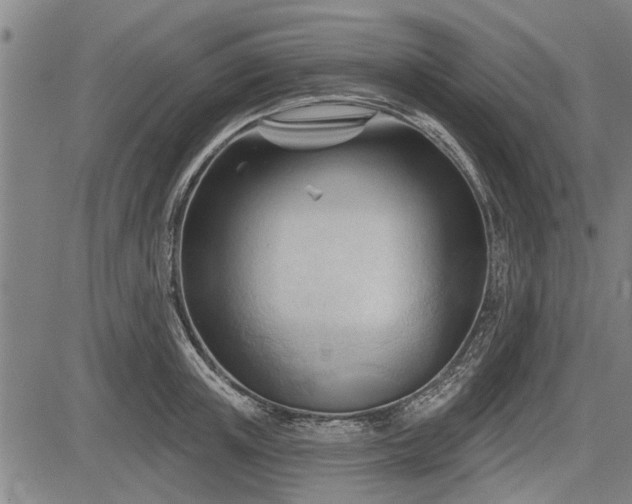 X0000083610851200702201248