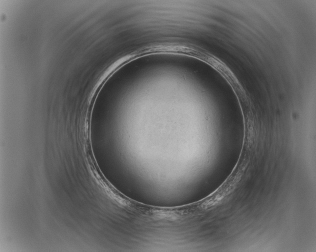 X0000083610852200702201248