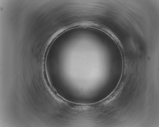 X0000083610853200702201248