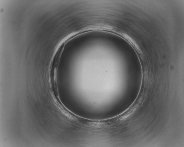 X0000083610854200702201248