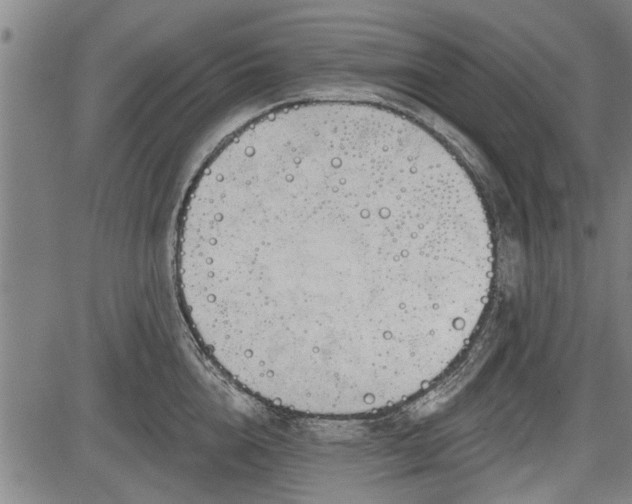 X0000083610856200702201248