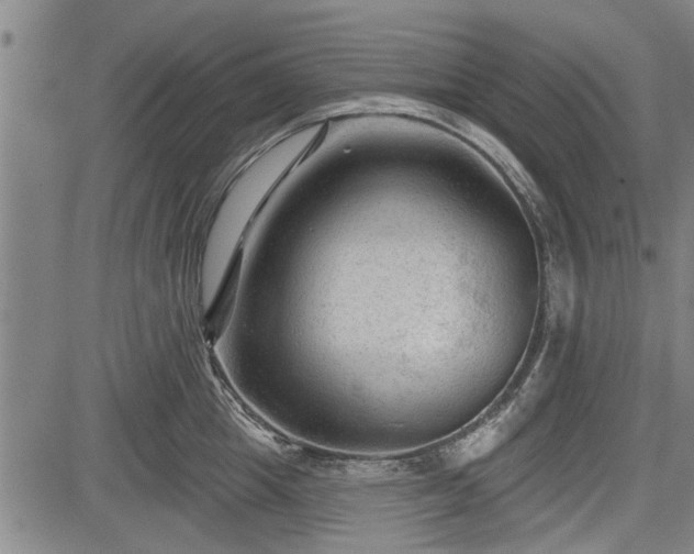 X0000083610857200702201248