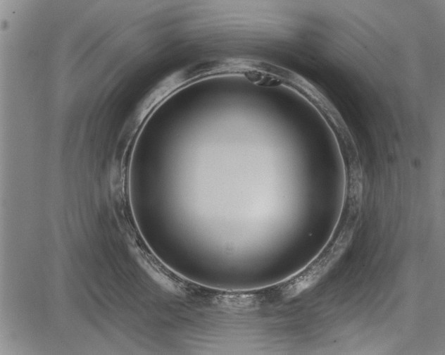 X0000083610858200702201248