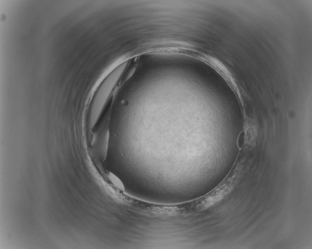 X0000083610859200702201248