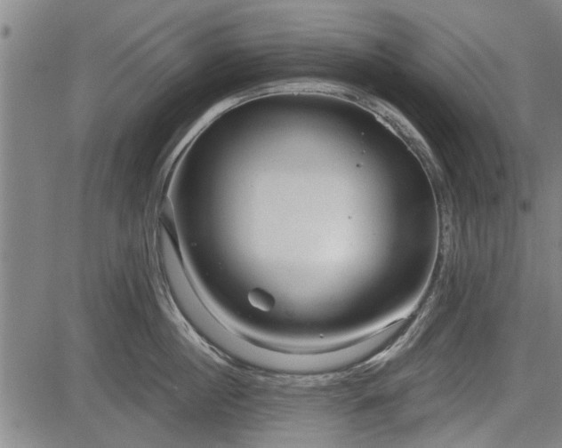 X0000083610860200702201248