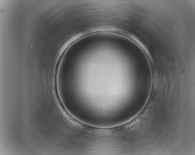 X0000083610861200702201248