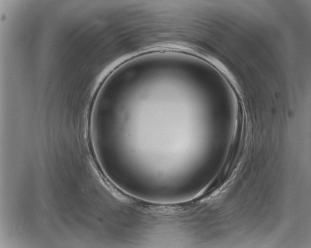 X0000083610862200702201248