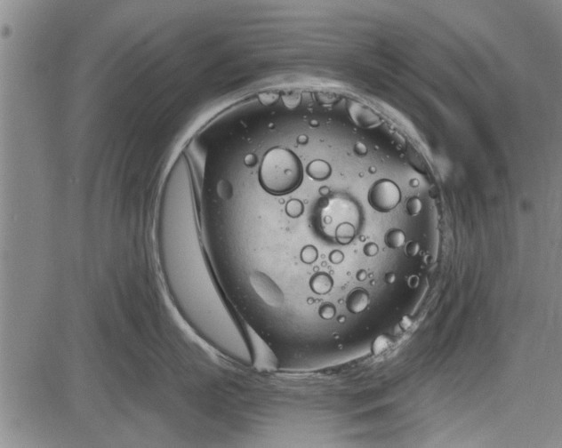 X0000083610863200702201248