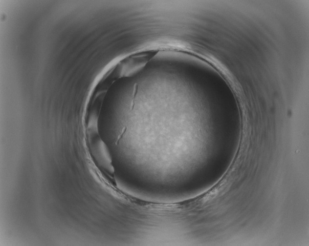 X0000083610864200702201248