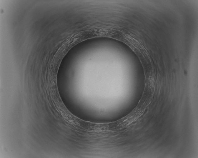 X0000083610865200702201247