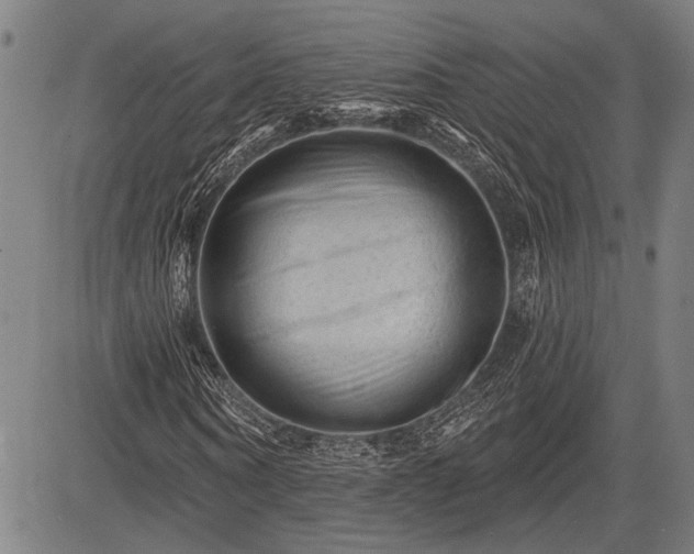 X0000083610866200702201247