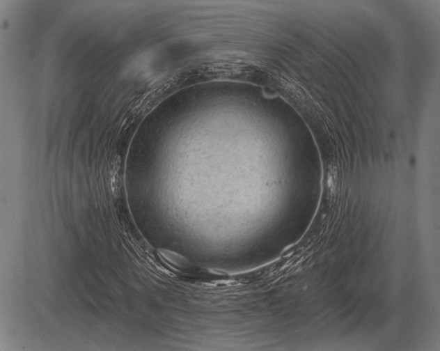 X0000083610867200702201247