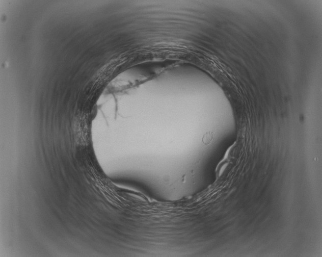 X0000083610868200702201247