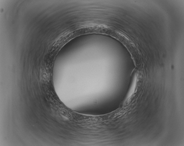 X0000083610869200702201247