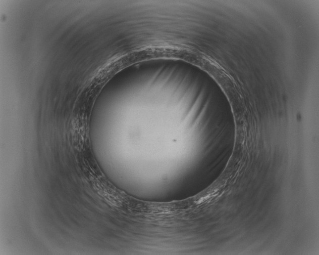 X0000083610870200702201247