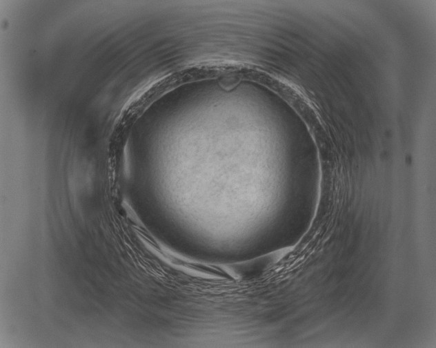 X0000083610871200702201247